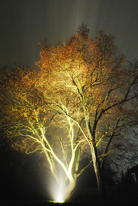 Nacht und Nebel am Kasseler Fasanenhof 